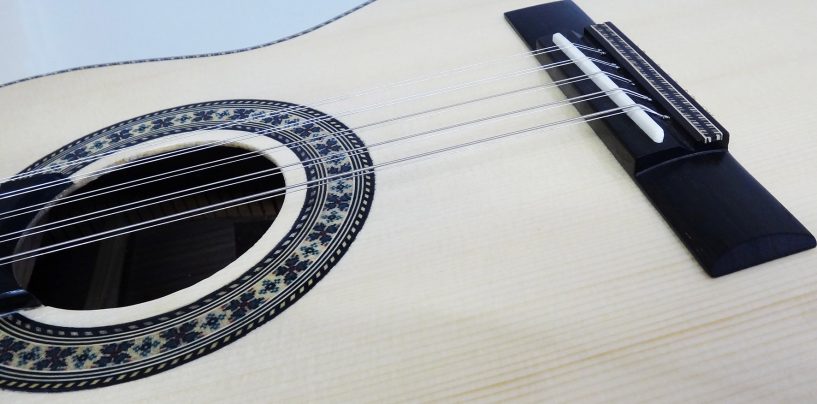Rozini: Série comemorativa 20 Anos