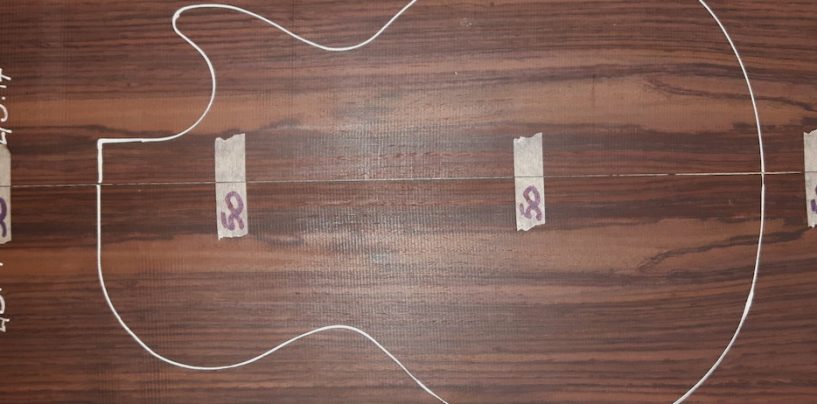 Cites isenta restrições do Jacarandá para instrumentos musicais