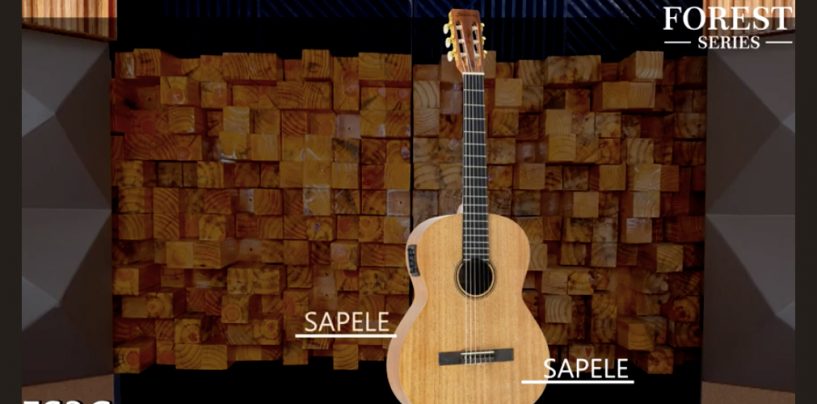 Strinberg apresenta violões Forest Series