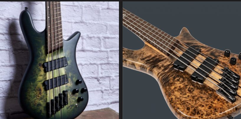 Spector introduz baixos NS Dimension