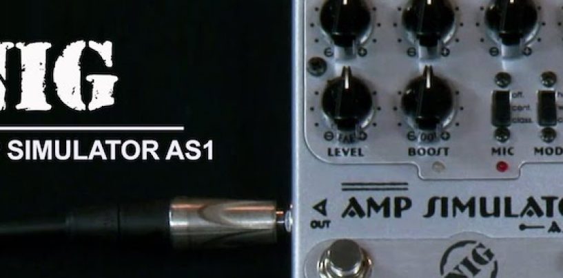 Pedal NIG Amp Simulator