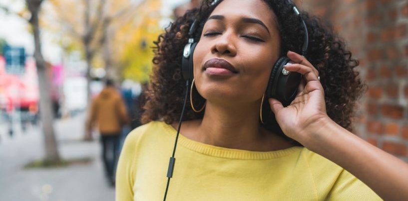 Música para quem vive de música – Volume 14