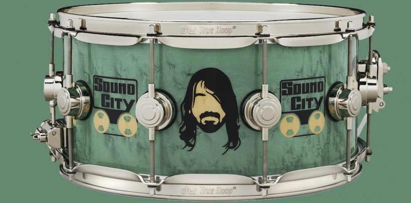 Dave Grohl Icon Snare Drum da DW