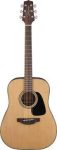 Violão Acústico Takamine GD10