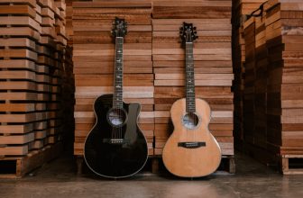 prs SE Acoustics-2