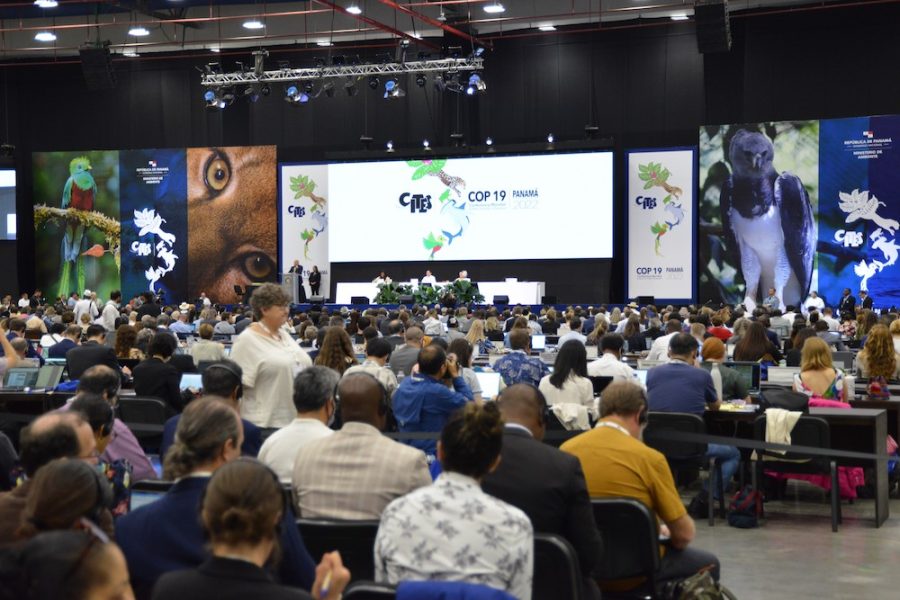 Cop19