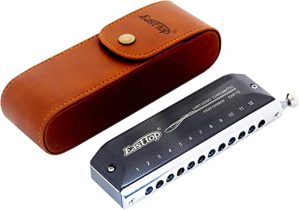 East top Gaita cromática atualizada de 12 furos 48 tons, chave C, órgão cromático