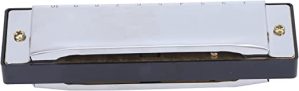 Harmonica,10 Hole 20 Tone G Key Wind Musical Instrument,Playing Mouth Organ with Box Cloth(Silver)