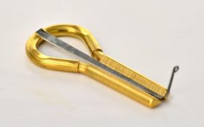 Harpa judaica, Vargan, profissional