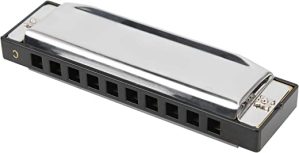 Labuduo Gaita C Key, Gaita com 10 furos de 20 tons, presente festivel com estojo de polimento fino profissional para adultos