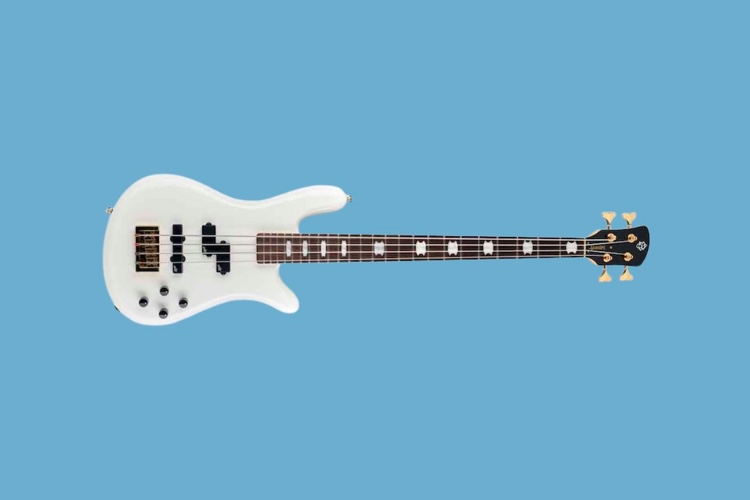 spector ns icon 750x500