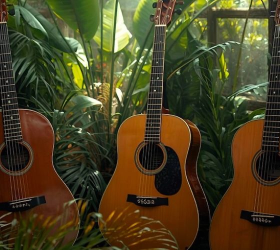Cuidado com instrumentos acústicos em clima tropical