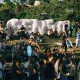 Festival Sensacional! anuncia datas e primeiros nomes da 13ª edição