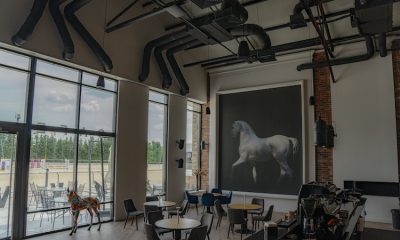 powersoft phoenix riders 750x500