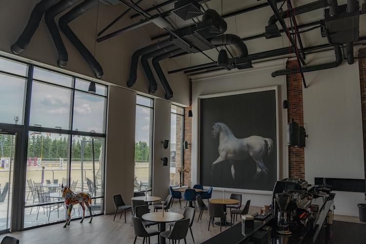 powersoft phoenix riders 750x500