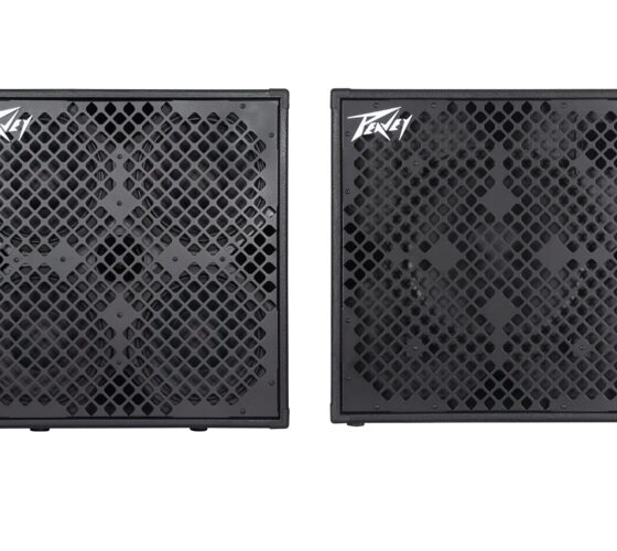peavey megabass 750x500