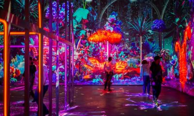 PROLIGHTS ilumina duas novas atrações do Futuroscope