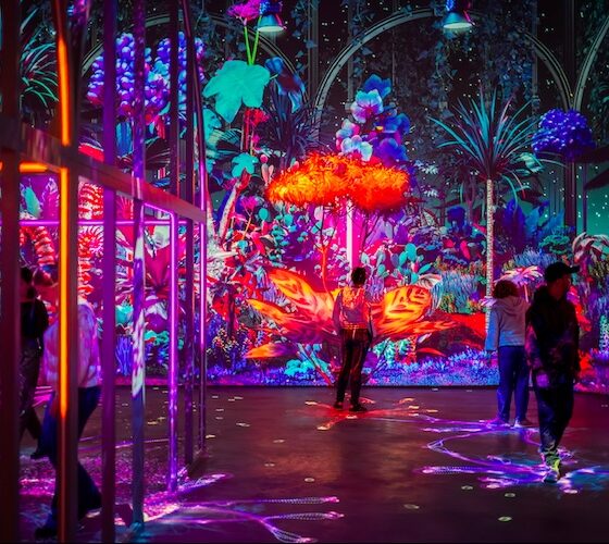 PROLIGHTS ilumina duas novas atrações do Futuroscope