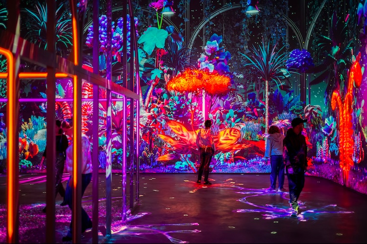 PROLIGHTS ilumina duas novas atrações do Futuroscope