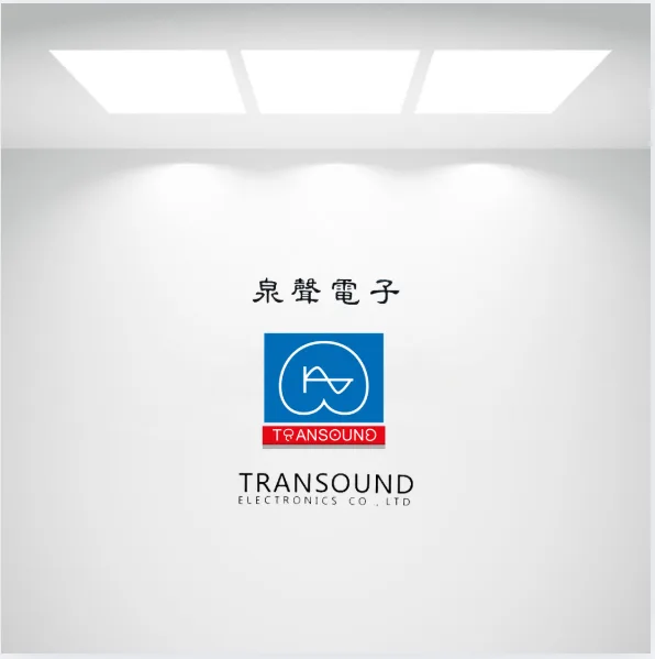 Identificação e logotipo da Transound Electronics em ambiente institucional