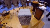 A floresta chega à Tycoon com seu novo cajon Zebra Branco