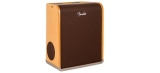 Novos amplificadores Acoustic Pro e SFX da Fender