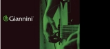 Giannini contrata vendedor interno