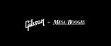 Gibson adquire Mesa/Boogie