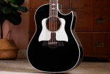 Novidade da Taylor Guitars: 657ce Bajo Quinto